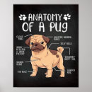 Search for pug posters nursery decor Dog lover