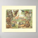 Search for wild africa posters Lion