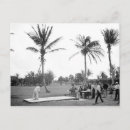 Search for 1904 postcards Florida