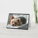 Search for yorkie pet memorials Pets