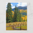 Search for countryside postcards Forest
