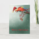 Search for parrot christmas cards Season