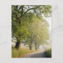 Search for smokey postcards Tennessee