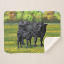Search for beef home decor Livestock