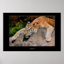 Search for ferocious posters Nature