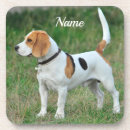 Search for beagles barware Puppies