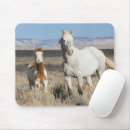 Search for horse mousepads Foal