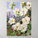 Search for californian posters Landscape