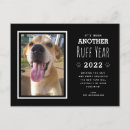 Search for black white paw print postcards Modern