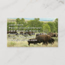 Search for mammal business cards Nature