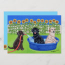 Search for funny pool party invitations Cute