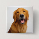 Search for retriever badges Pet