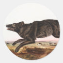 Search for wolf illustration stickers Wildlife