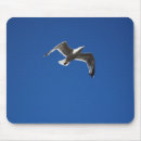 Search for sea bird mousepads Photography