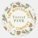 Search for pine cone Evergreen