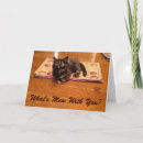 Search for mew cards Kitten
