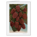 Search for lithograph Collection