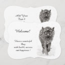 Search for wild wolf invitations Wildlife