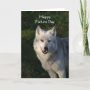 Search for timber cards Animal