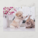 Search for lop postcards Friendship