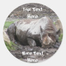 Search for rhinos stickers Rino