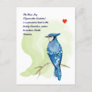 Search for original drawing postcards Birds