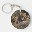 Search for lion cub rounded key rings Lions