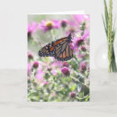 Search for pollen cards Summer