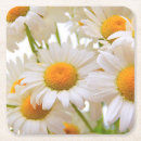 Search for daisy coasters Summer