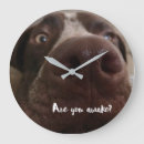 Search for german shorthaired pointer posters Puppy