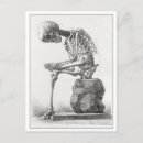 Search for anatomy postcards Skeleton