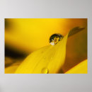 Search for waterdrop art Photography