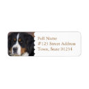 Search for mountain dog return address labels Pets