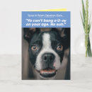 Search for boston terrier birthday cards Dog