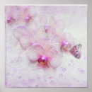 Search for tropical butterfly art Orchid