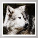 Search for wolf head posters Wolves
