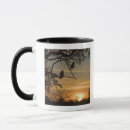 Search for wild eagles mugs Wildlife