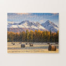 Search for bale photography Agriculture
