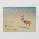 Search for weird christmas postcards Vintage