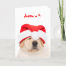Search for lab christmas cards Santa