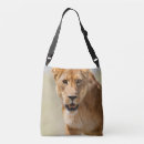 Search for lioness bags Landscape
