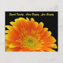Search for kindly postcards Flowers