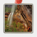 Search for zion national park christmas tree decorations Desert