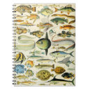 Search for biology notebooks Ocean