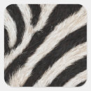 Search for zebra stripes stickers Black and white