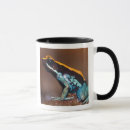 Search for poison frog mugs Central america