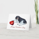 Search for brittany dog cards Pet