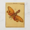 Search for flying insects postcards Entomology