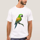 Search for parot Bird