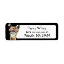 Search for alpaca return address labels Funny